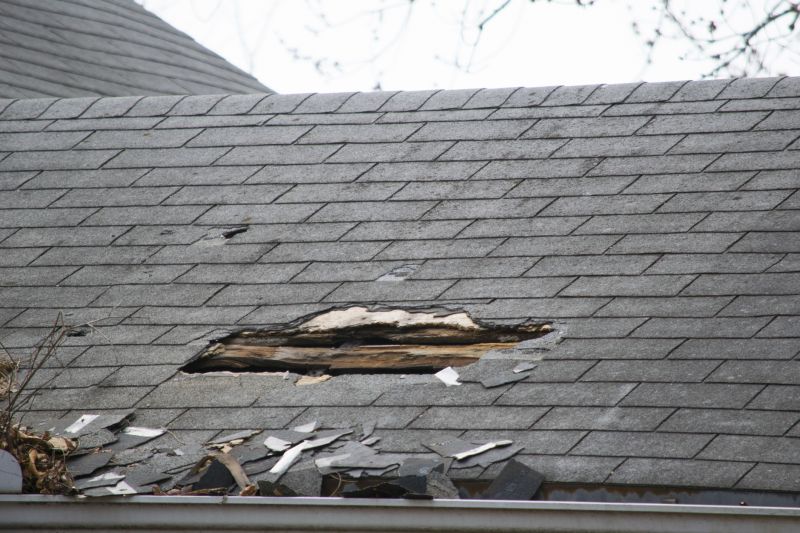 Asphalt Roof Leak Repair in Cape May Court House, NJ