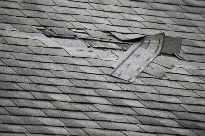 Asphalt Roof Leak Repair in Millville, NJ