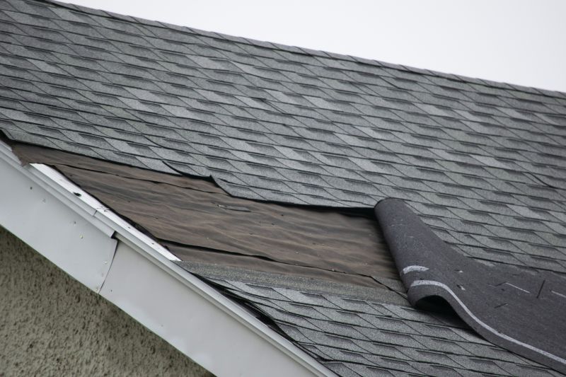 Asphalt Shingles Repair in Ocean City, NJ