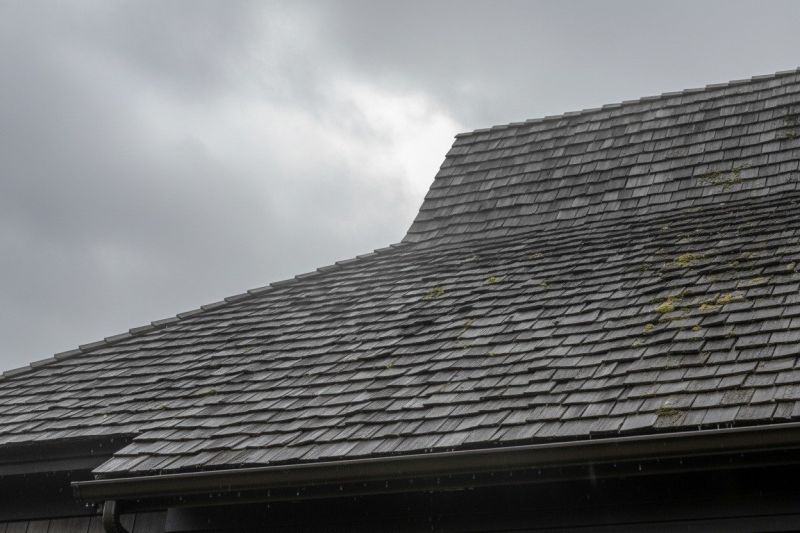 Cedar Roof Replacement in Cape May County, NJ
