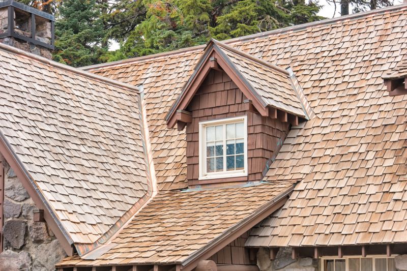 Cedar Shake Roof Repair in Wildwood, NJ