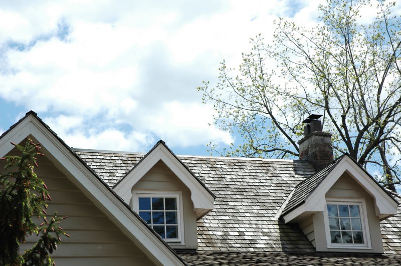 Cedar Shingles Replacement in Port Elizabeth, NJ