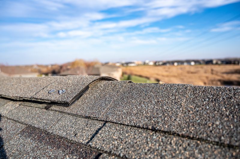 Damaged Roof Repair in Avalon, NJ