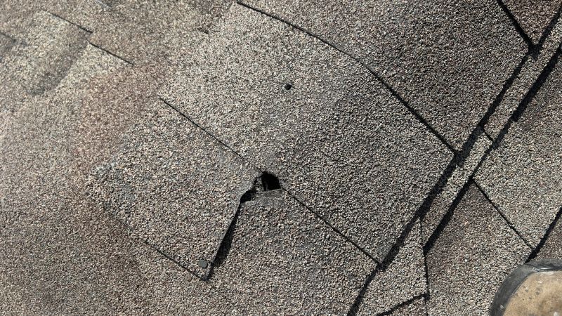 Damaged Roof Repair in Cape May, NJ