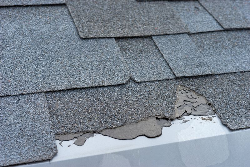Damaged Roof Repair in Ocean View, NJ
