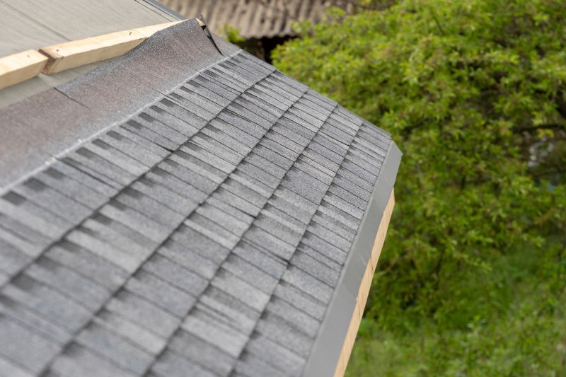 Damaged Roof Repair in Ocean View, NJ