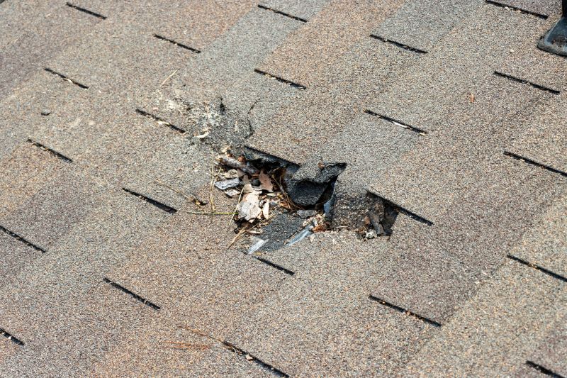 Damaged Roof Replacement in Ventnor City, NJ