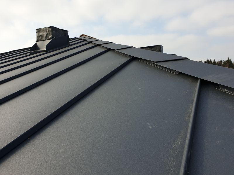 Metal Roof Sealing in Cape May Court House, NJ