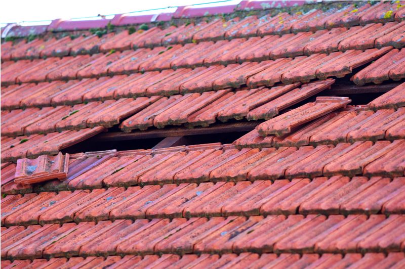 Roof Damage Inspection in Mays Landing, NJ