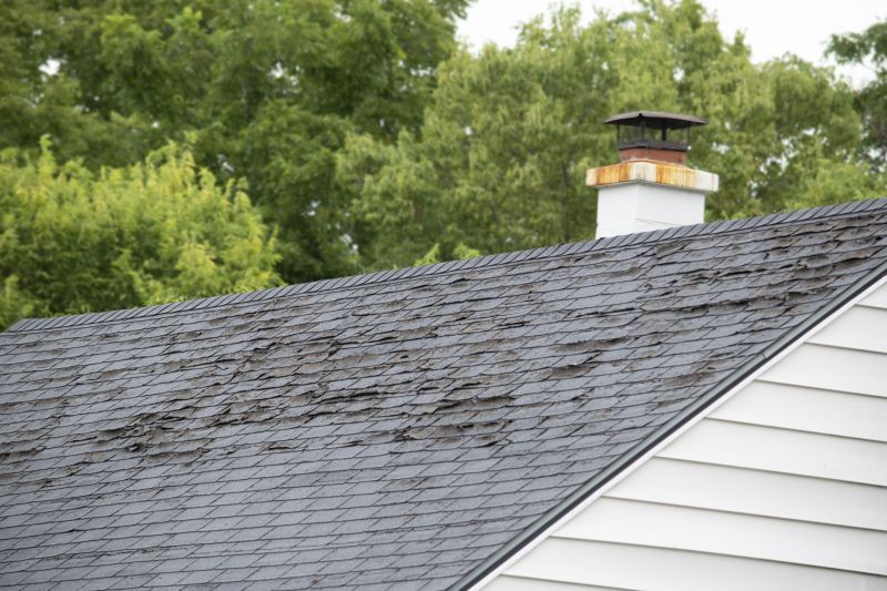 Roof Hail Damage Repair in Cape May Court House, NJ