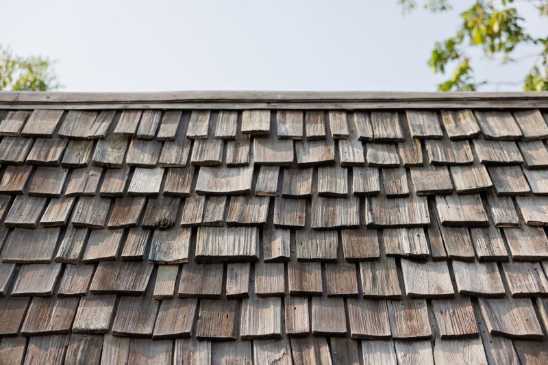 Shake Shingle Repair in Cape May County, NJ