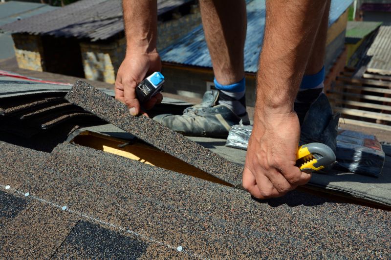 Shingles Repair in Port Elizabeth, NJ