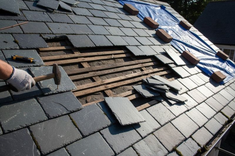 Slate Shingles Repair in Port Elizabeth, NJ