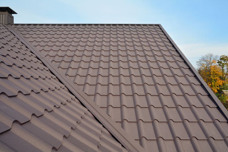 Tin Roof Installation in Ocean View, NJ
