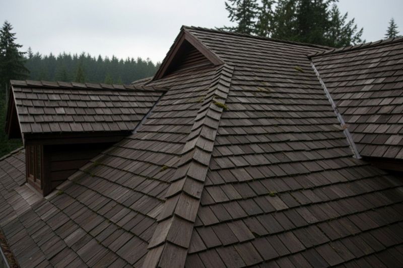 Wood Shake Roof Replacement in Stone Harbor, NJ